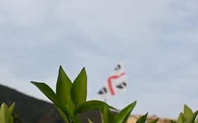 Sa Mariposa