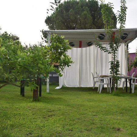 Bed and Breakfast Sa Mariposa Muravera Esterno foto